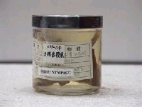 藏品(大眼金梭魚)的圖片
